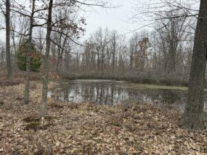 00 4 Mile Rd, Sears, MI 49679 - photo 8