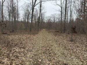 00 4 Mile Rd, Sears, MI 49679 - photo 4