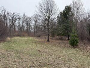 00 4 Mile Rd, Sears, MI 49679 - photo 3