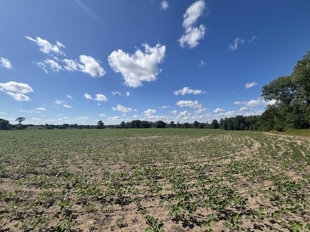 14656 Hersey Rd, Hersey, MI 49639 - photo 42