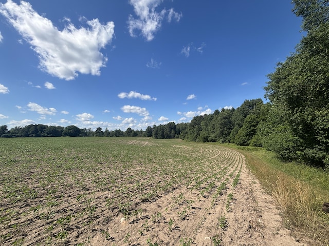 14656 Hersey Rd, Hersey, MI 49639 - photo 43