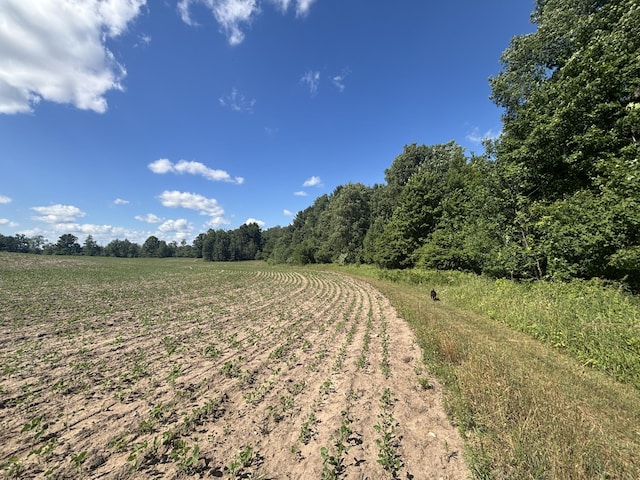 14656 Hersey Rd, Hersey, MI 49639 - photo 44