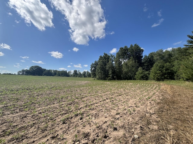 14656 Hersey Rd, Hersey, MI 49639 - photo 45