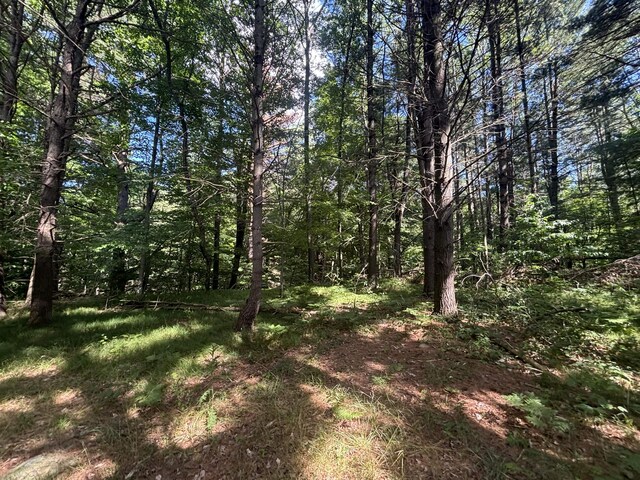 14656 Hersey Rd, Hersey, MI 49639 - photo 46