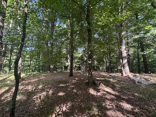 14656 Hersey Rd, Hersey, MI 49639 - photo 50