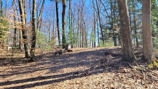 947 W Locust St, White Cloud, MI 49349
