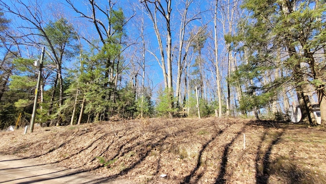 947 W Locust St, White Cloud, MI 49349