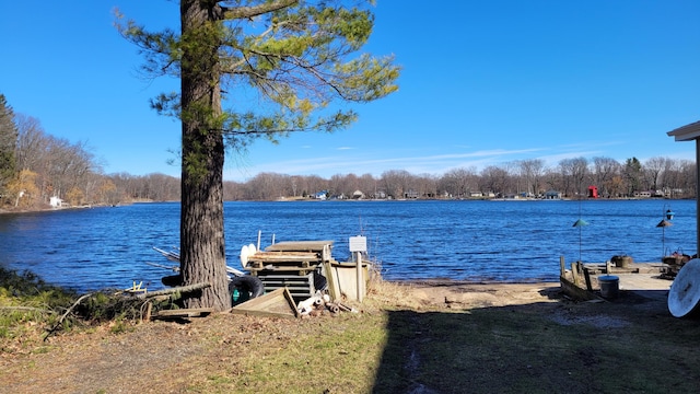 947 W Locust St, White Cloud, MI 49349