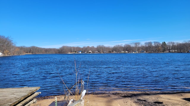 947 W Locust St, White Cloud, MI 49349