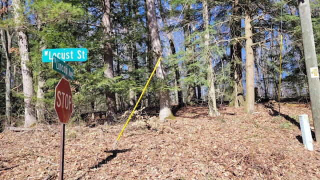 947 W Locust St, White Cloud, MI 49349