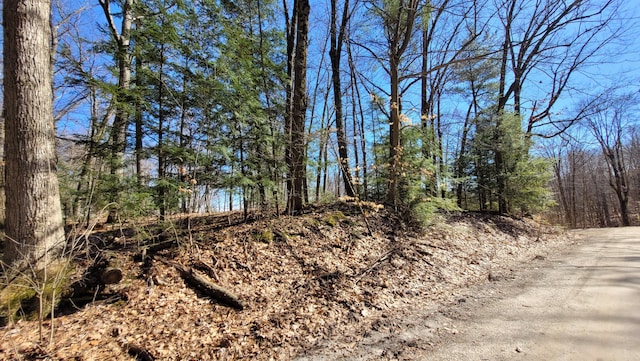 947 W Locust St, White Cloud, MI 49349