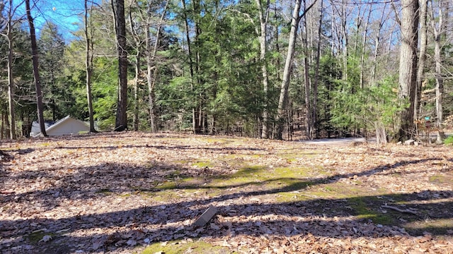 947 W Locust St, White Cloud, MI 49349