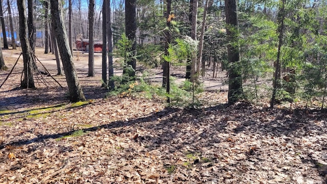 947 W Locust St, White Cloud, MI 49349