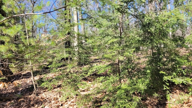 947 W Locust St, White Cloud, MI 49349