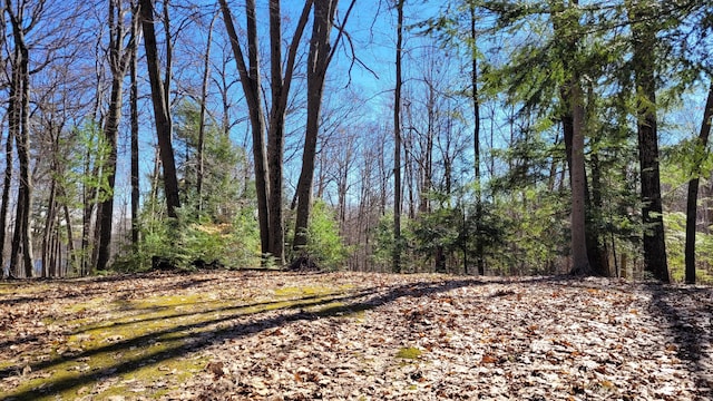 947 W Locust St, White Cloud, MI 49349