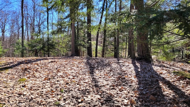 947 W Locust St, White Cloud, MI 49349