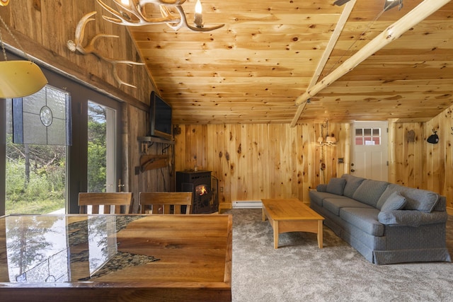 21051 Read Rd, Copemish, MI 49625 - photo 59