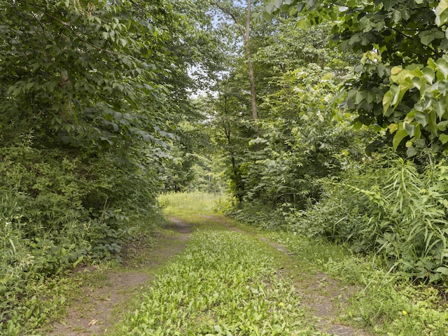 21051 Read Rd, Copemish, MI 49625 - photo 76
