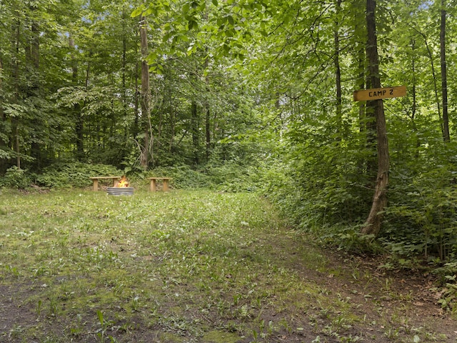 21051 Read Rd, Copemish, MI 49625 - photo 74