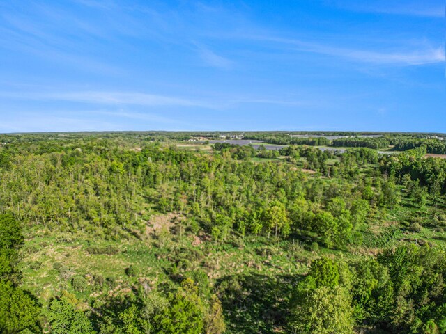 15252 27 Mile Rd, Albion, MI 49224 - photo 3