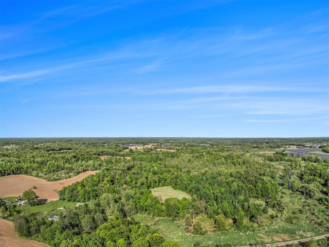 15252 27 Mile Rd, Albion, MI 49224 - photo 15