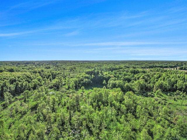 15252 27 Mile Rd, Albion, MI 49224 - photo 21