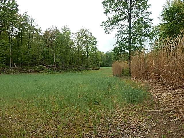 15252 27 Mile Rd, Albion, MI 49224 - photo 4