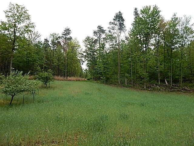 15252 27 Mile Rd, Albion, MI 49224 - photo 6