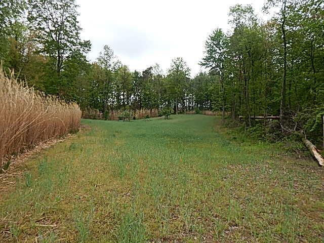 15252 27 Mile Rd, Albion, MI 49224 - photo 8