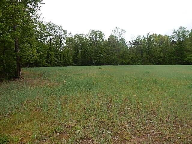 15252 27 Mile Rd, Albion, MI 49224 - photo 10