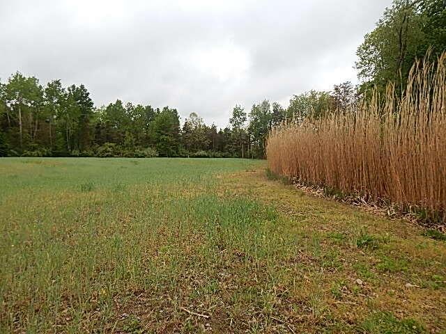 15252 27 Mile Rd, Albion, MI 49224 - photo 12