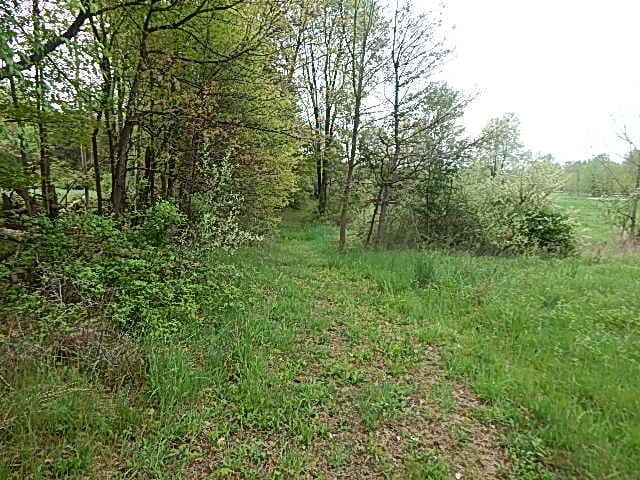 15252 27 Mile Rd, Albion, MI 49224 - photo 14