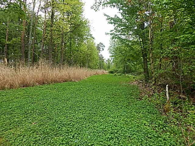 15252 27 Mile Rd, Albion, MI 49224 - photo 16