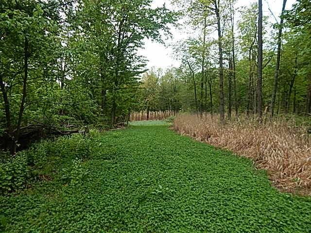 15252 27 Mile Rd, Albion, MI 49224 - photo 18