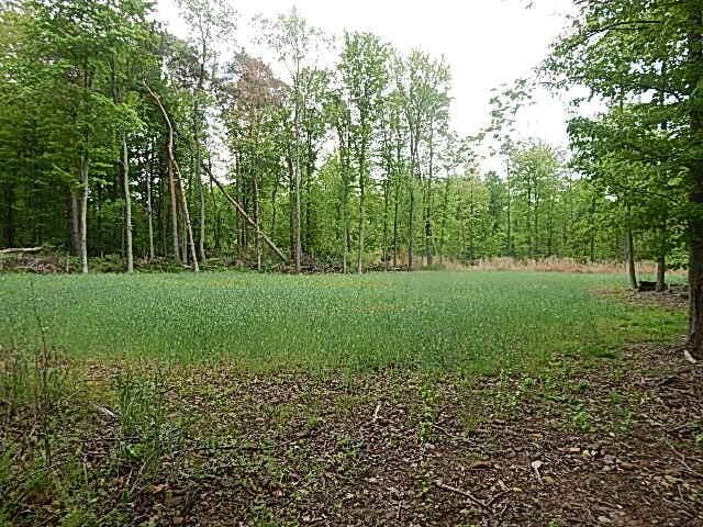 15252 27 Mile Rd, Albion, MI 49224 - photo 20