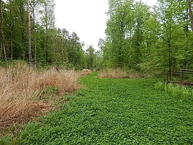 15252 27 Mile Rd, Albion, MI 49224 - photo 25