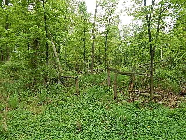 15252 27 Mile Rd, Albion, MI 49224 - photo 26