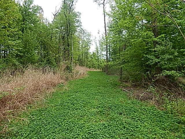 15252 27 Mile Rd, Albion, MI 49224 - photo 27