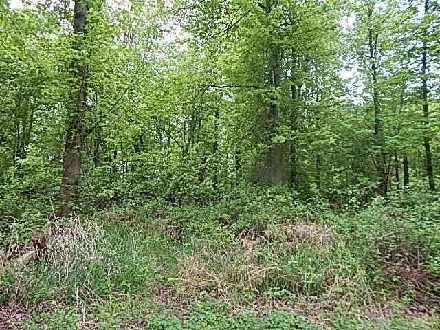 15252 27 Mile Rd, Albion, MI 49224 - photo 28