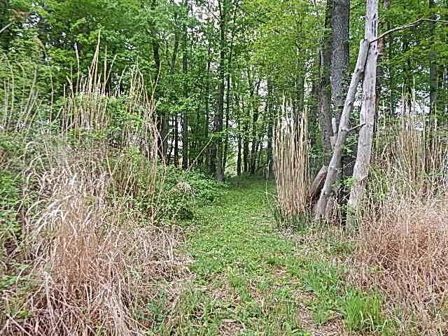 15252 27 Mile Rd, Albion, MI 49224 - photo 29
