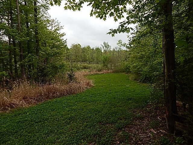 15252 27 Mile Rd, Albion, MI 49224 - photo 30