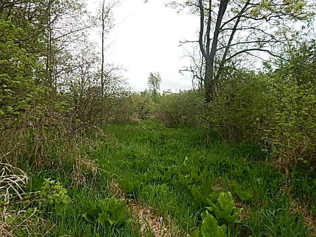 15252 27 Mile Rd, Albion, MI 49224 - photo 31