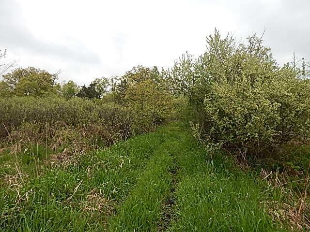 15252 27 Mile Rd, Albion, MI 49224 - photo 34