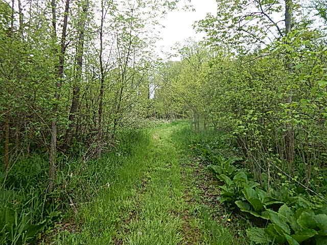 15252 27 Mile Rd, Albion, MI 49224 - photo 35