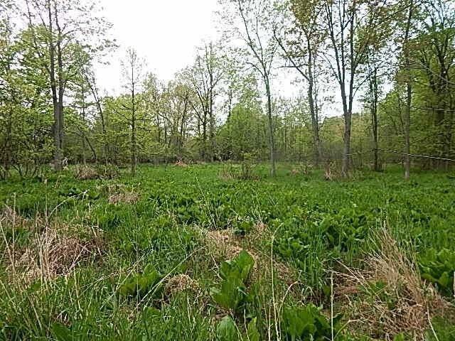 15252 27 Mile Rd, Albion, MI 49224 - photo 36