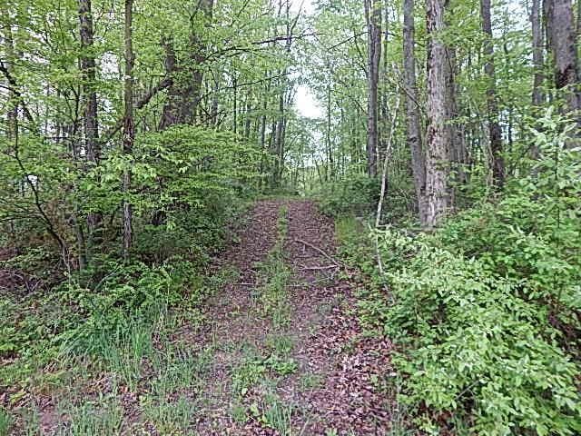 15252 27 Mile Rd, Albion, MI 49224 - photo 37