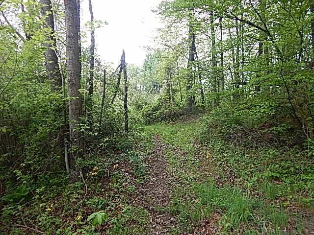15252 27 Mile Rd, Albion, MI 49224 - photo 38