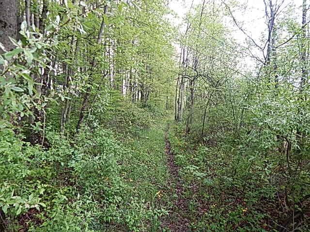 15252 27 Mile Rd, Albion, MI 49224 - photo 39