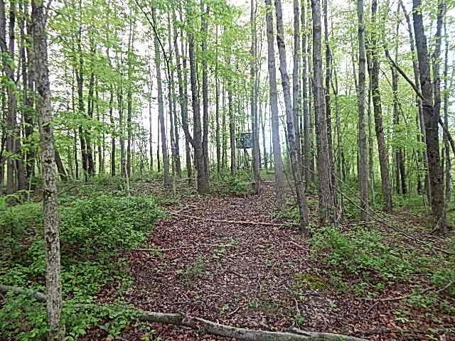 15252 27 Mile Rd, Albion, MI 49224 - photo 40