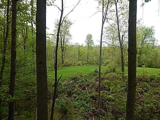 15252 27 Mile Rd, Albion, MI 49224 - photo 42